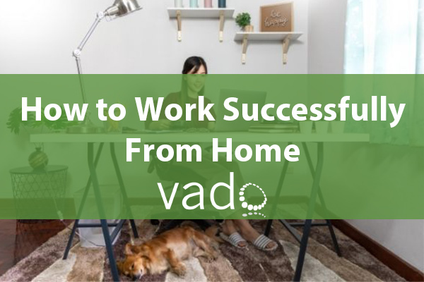 How to Work Successfully From Home Bundle Thumbnail